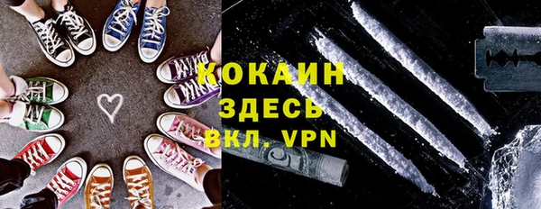 шишки Верея