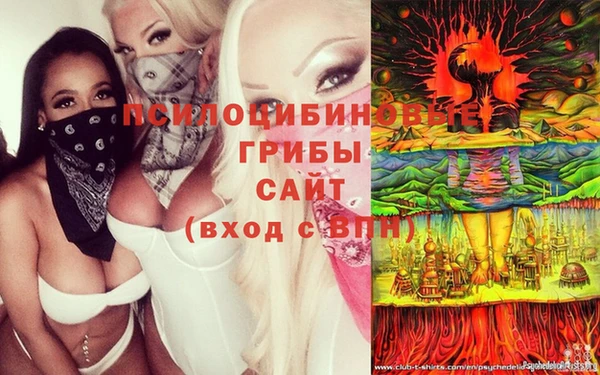 не бодяженный Абаза