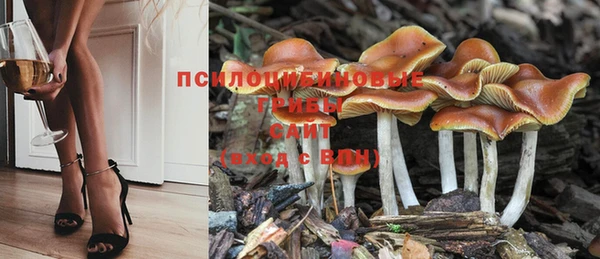 не бодяженный Абаза
