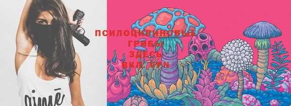 не бодяженный Абаза