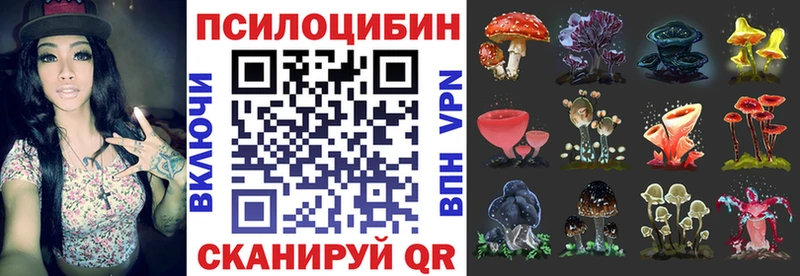 Галлюциногенные грибы мицелий  Усть-Кут 